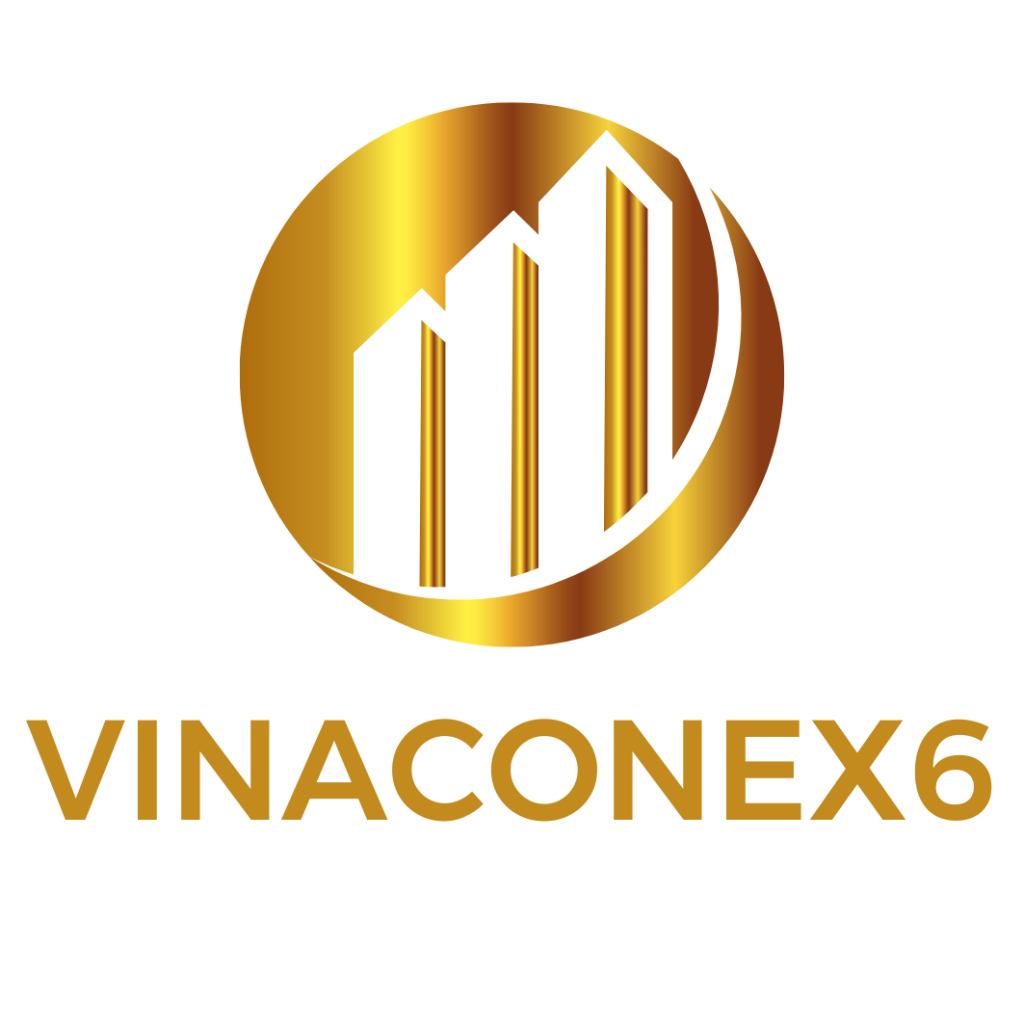 Vinaconex 6