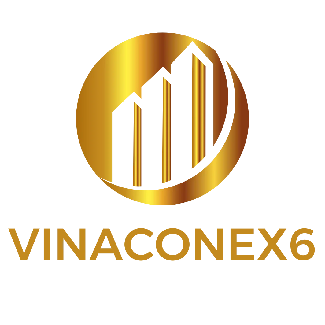 Vinaconex 6